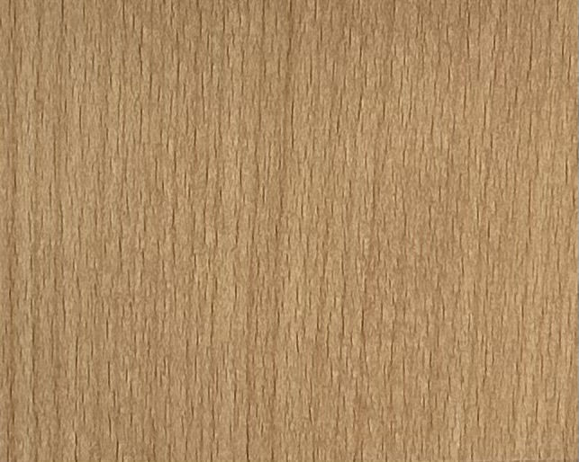 8289 原木山毛櫸