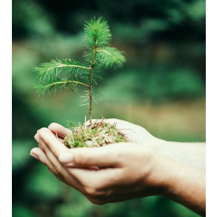 德國超耐磨木地板PEFC